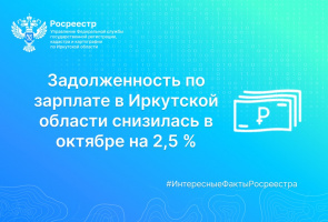 Задолженность по зарплате в Иркутской области снизилась в октябре на 2,5%.